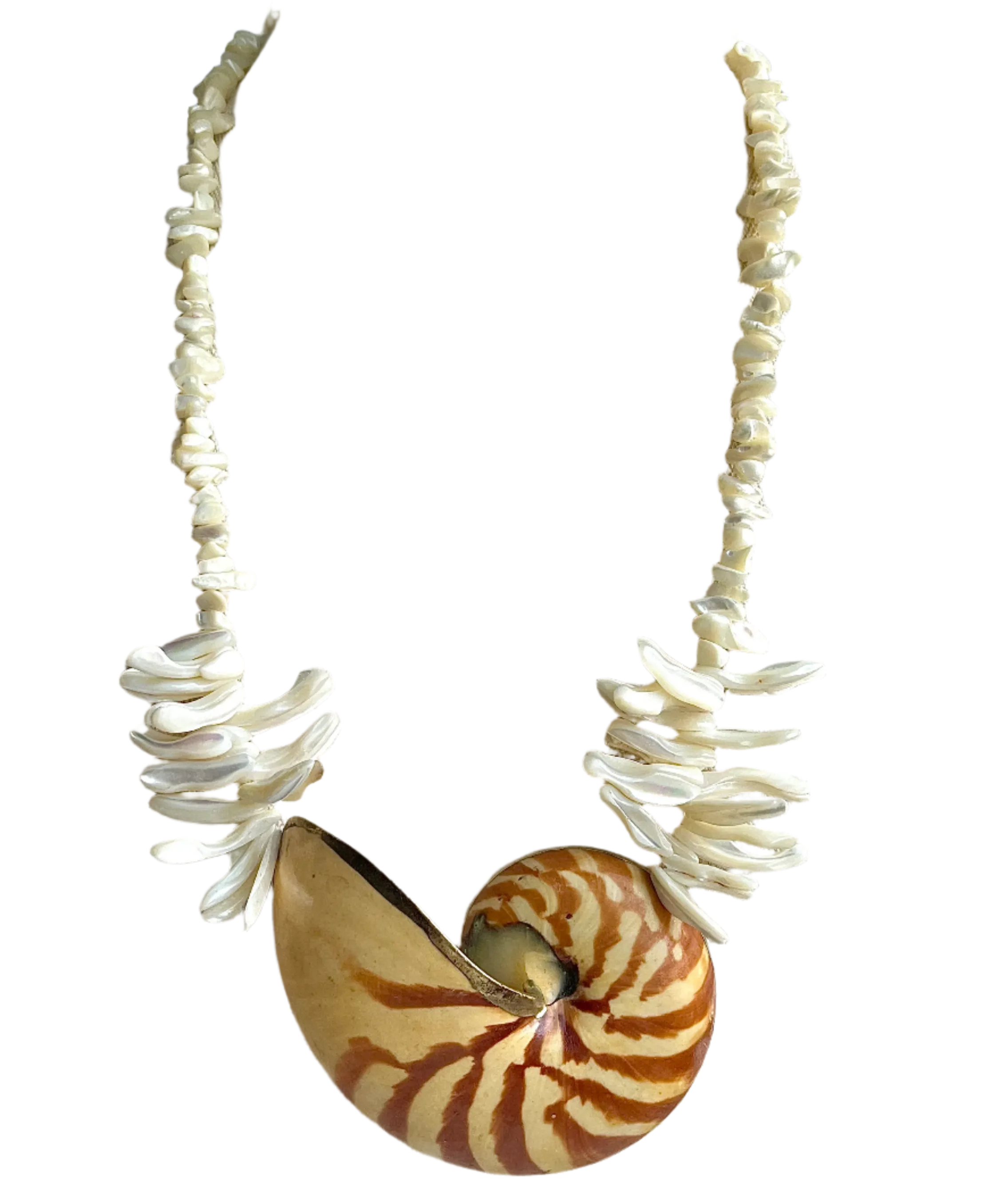 Fabulous Huge Nautilus Shell Statement Necklace
