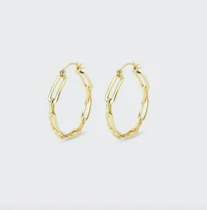 Parker Link Hoops