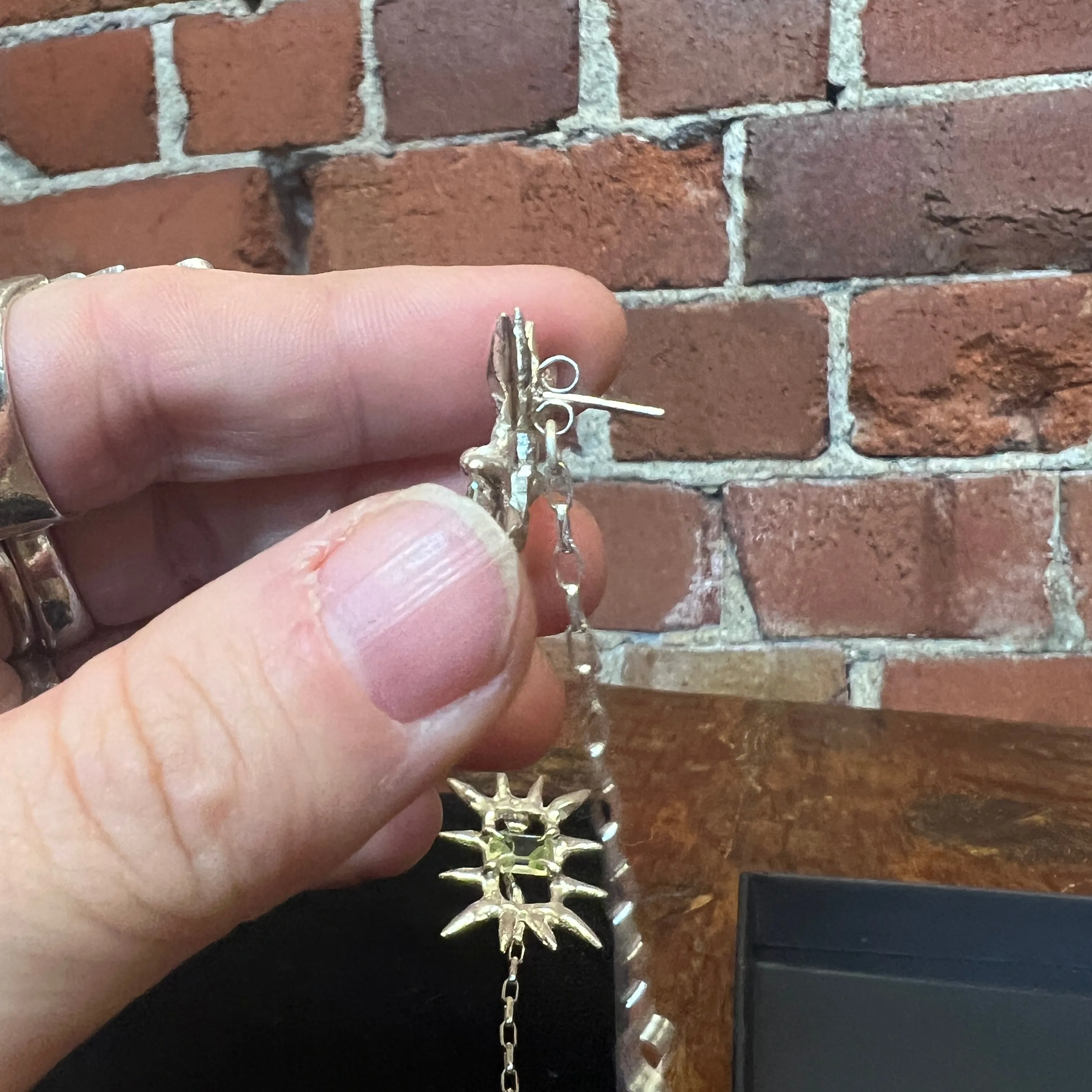 SGUSCIO Stg silver Axon earrings