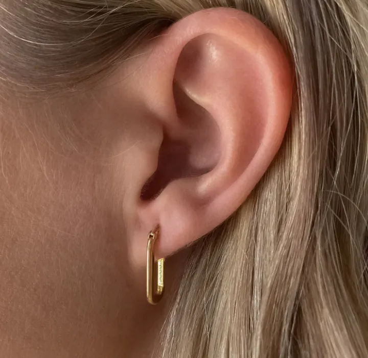 Thatch - Nadine 14K Gold Plated Hoop Earrings